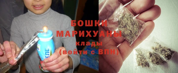 индика Аркадак