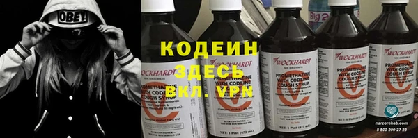 индика Аркадак