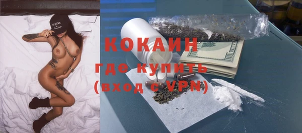 индика Аркадак