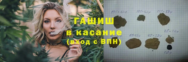 индика Аркадак