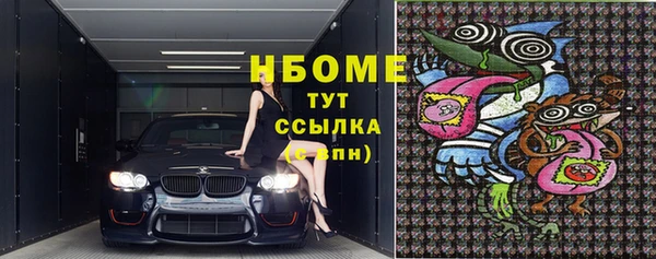 индика Аркадак