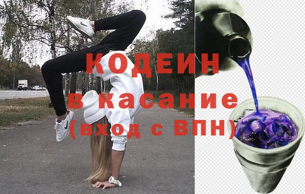 индика Аркадак