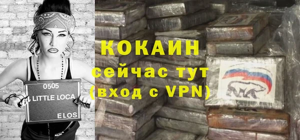 индика Аркадак