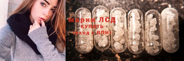 индика Аркадак